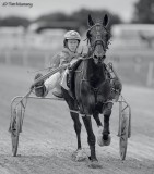 Harness racing 120708_2